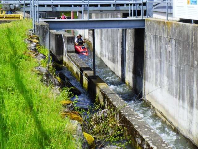 kcr_ausfahrt_donau_20230506_123339